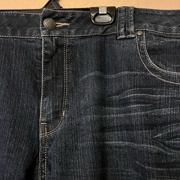 Lane Bryant Jeans, altered - Picture 6 of 13